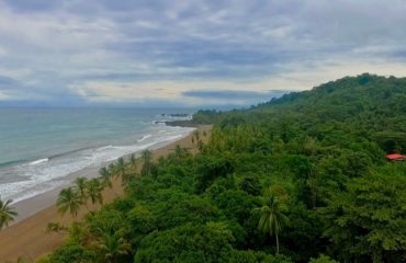 Where the rainforest meets the ocean