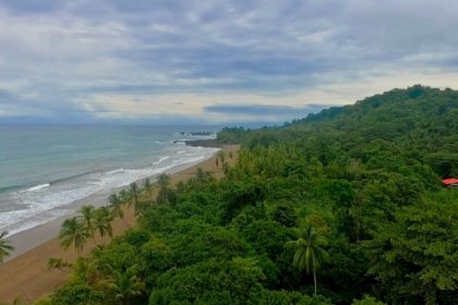 Where the rainforest meets the ocean