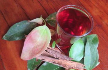 Cinnamon tea ~ freshly harvested