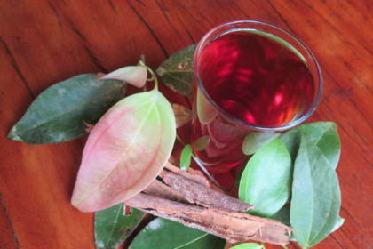 Cinnamon tea ~ freshly harvested