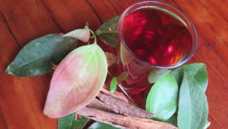 Cinnamon tea ~ freshly harvested